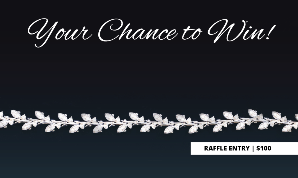 Your Chance to Win! Raffle Entry | $100